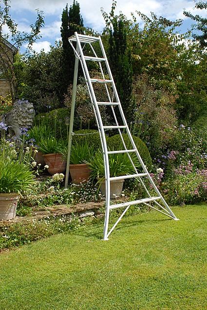 Rental store for 16  ORCHARD LADDER in Bellingham WA